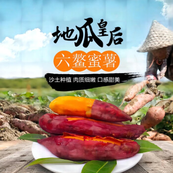 地瓜皇后六鳌蜜薯5斤