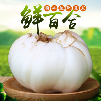 兰州新鲜百合24颗2斤装	